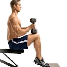 シーテッドカーフレイズ｜ふくらはぎを座りながらトレーニング！ダンベルで筋トレ！