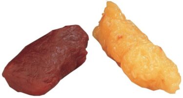 筋肉は脂肪に変わることはありません！筋トレが大切な理由とは？