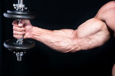 腕を太くする筋トレ決定版！上腕二頭筋／三頭筋・前腕・握力を満遍なく